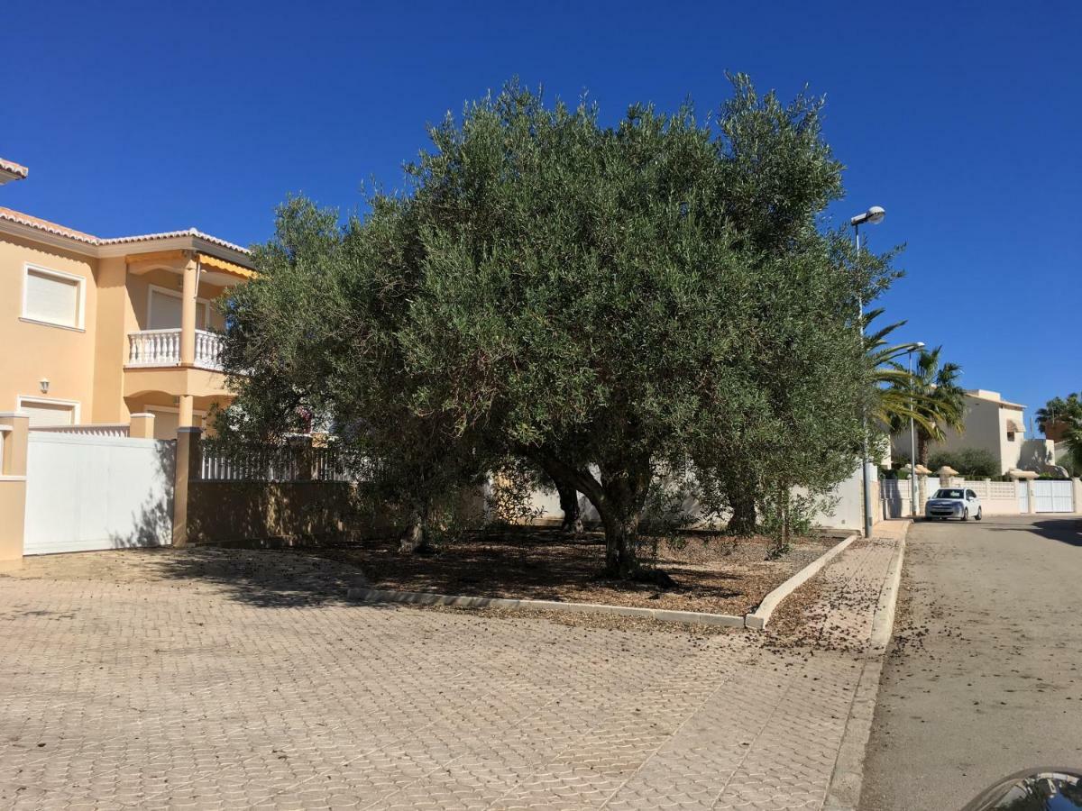 Frente Al Mar - Velazquez Villa Oliva Dış mekan fotoğraf